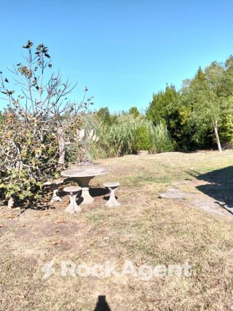 immagine annuncio 4 di 12