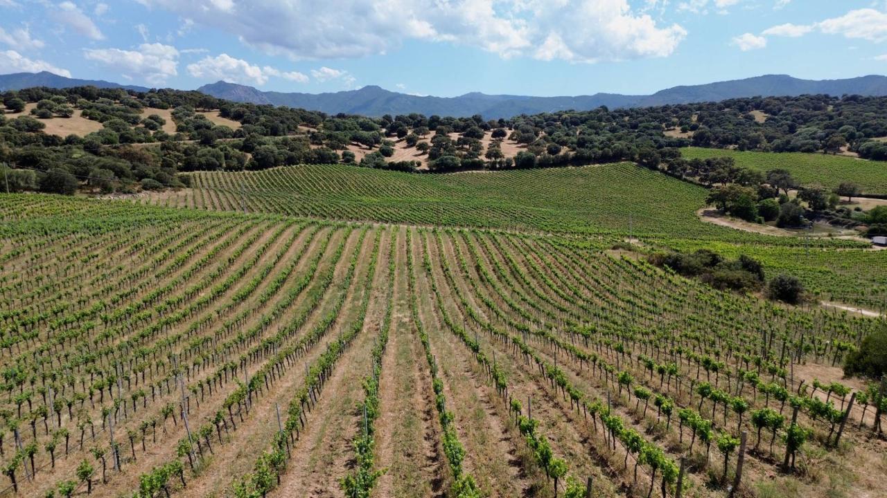Azienda agricola in , Olbia, {3} - Foto 2