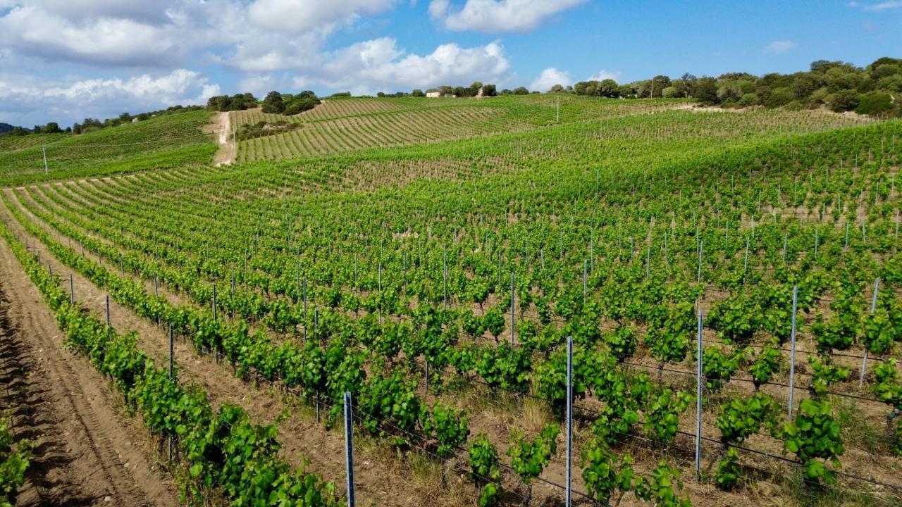 Azienda agricola in , Olbia, {3} - Foto 1