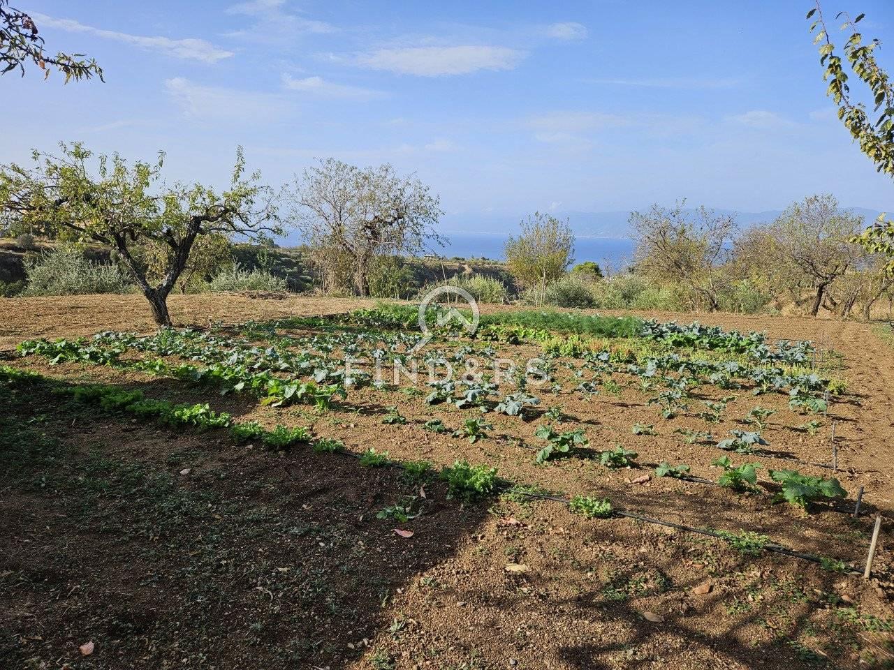 Terreno agricolo in vendita a Reggio Calabria