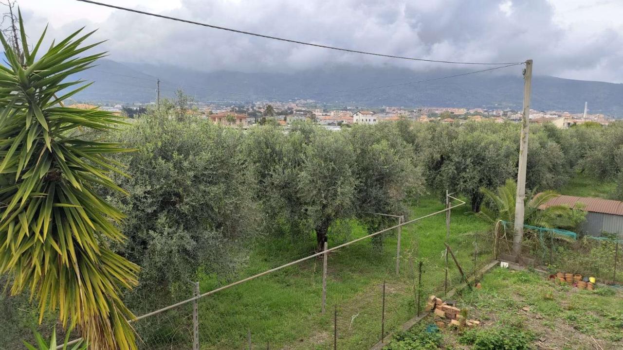 immagine annuncio 11 di 12