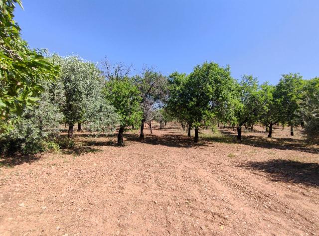 Rustico in Contrada Volpiglia Snc, Noto - Foto 1