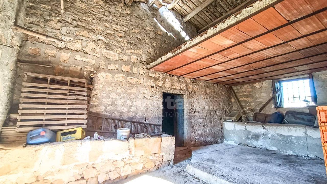 immagine annuncio 8 di 11