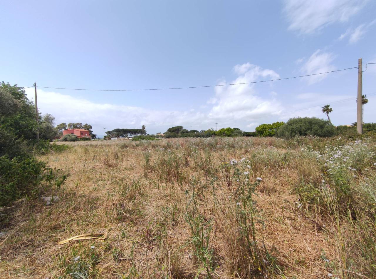 immagine annuncio 3 di 12