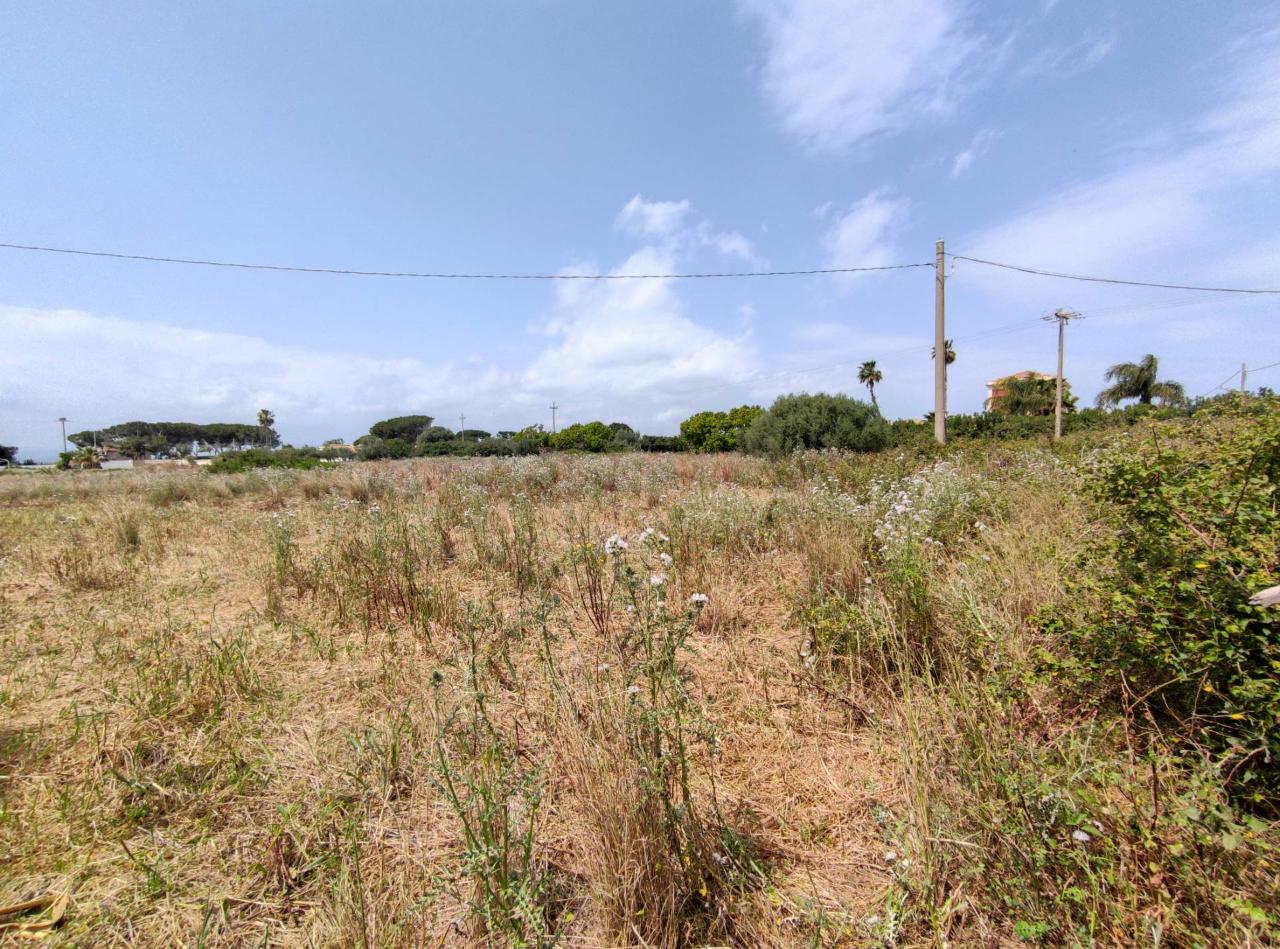 immagine annuncio 6 di 12