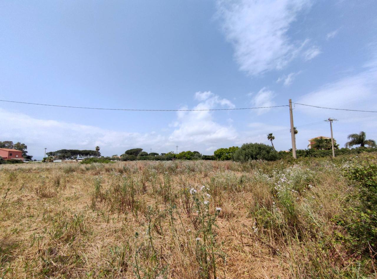 immagine annuncio 5 di 12