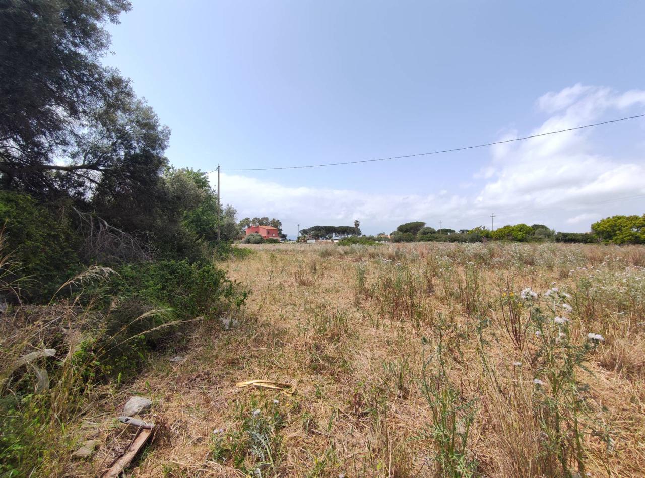 immagine annuncio 4 di 12