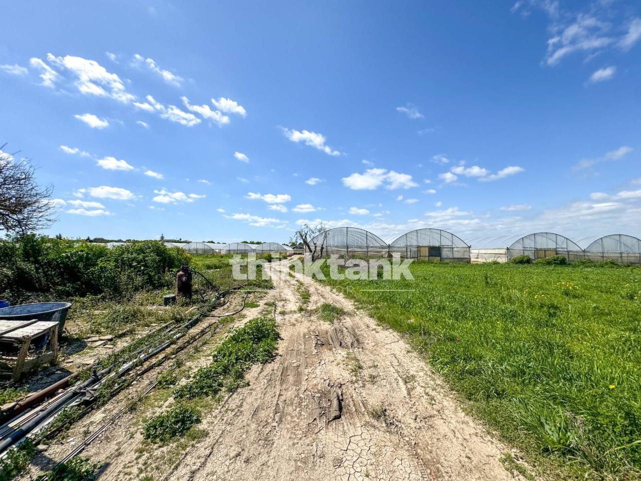 immagine annuncio 6 di 11