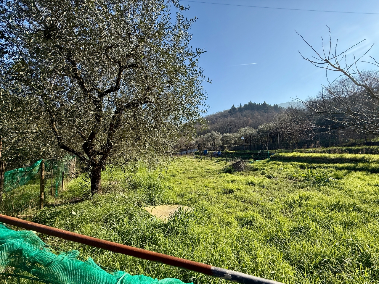 immagine annuncio 5 di 10