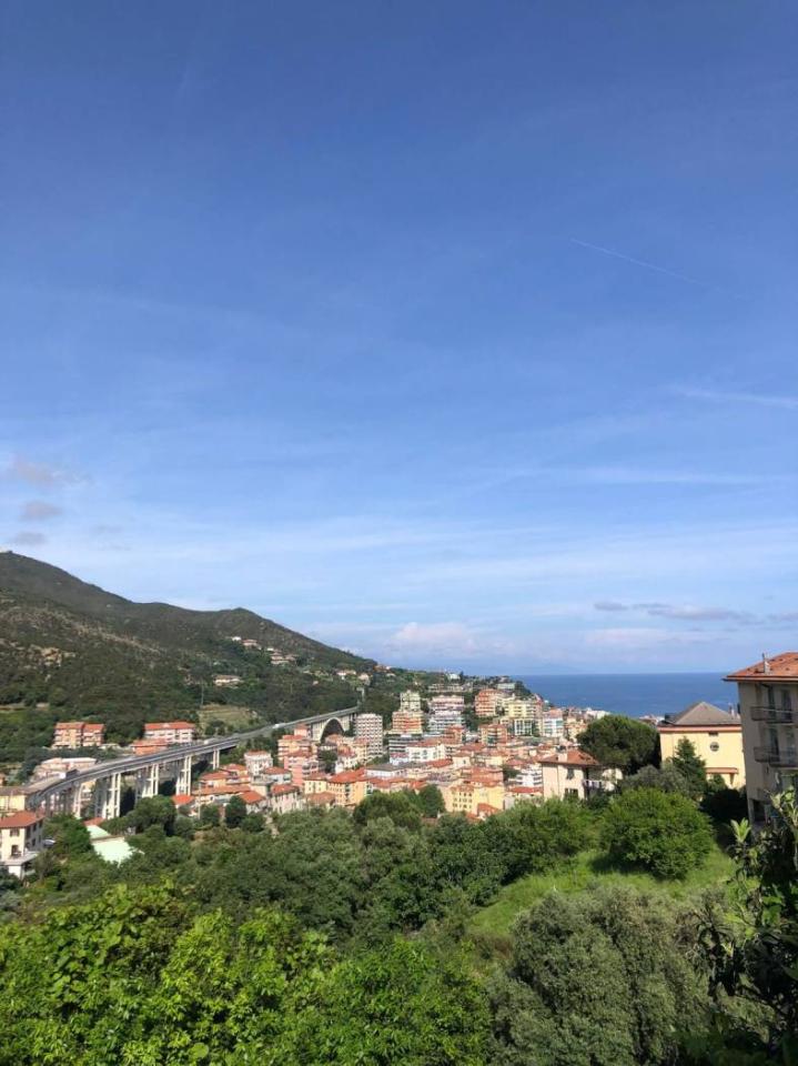 immagine annuncio 4 di 13