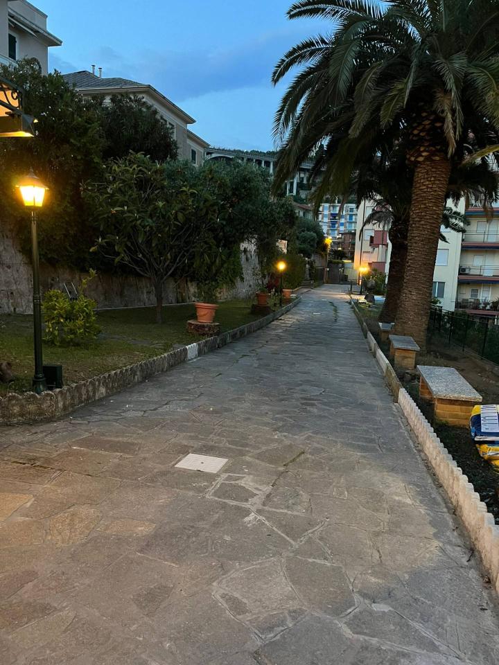 immagine annuncio 8 di 12