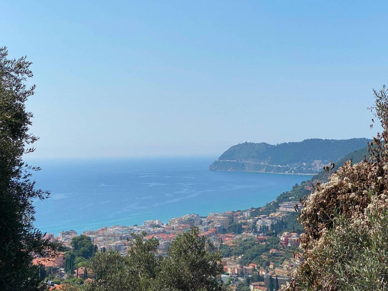 immagine annuncio 6 di 7