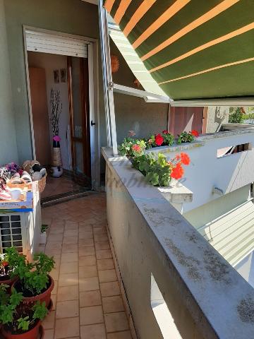 Vierzimmerwohnung in Via Aurelia  144, Rosignano Marittimo - Foto 1