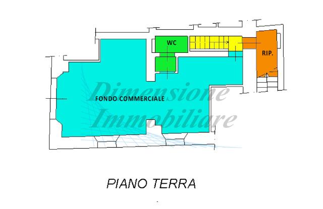 main planimetry real estate image