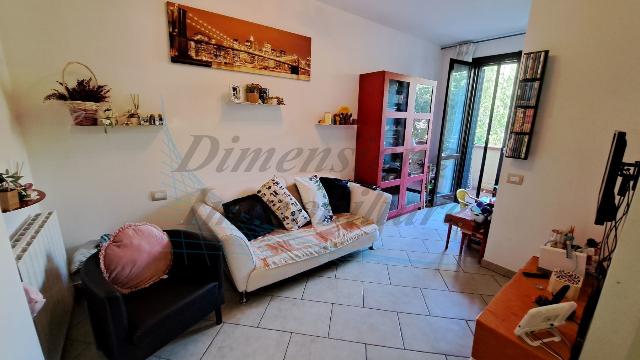 2-room flat in Via Pierluigi Viola, Rosignano Marittimo - Photo 1