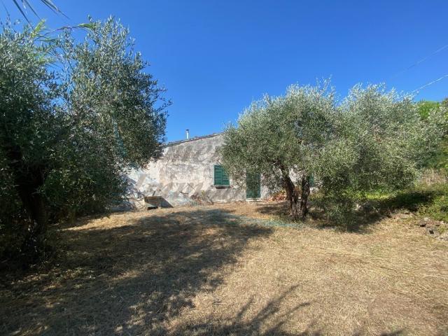 Terraced house in Località Stradone Polveroni 9/a, Rosignano Marittimo - Photo 1