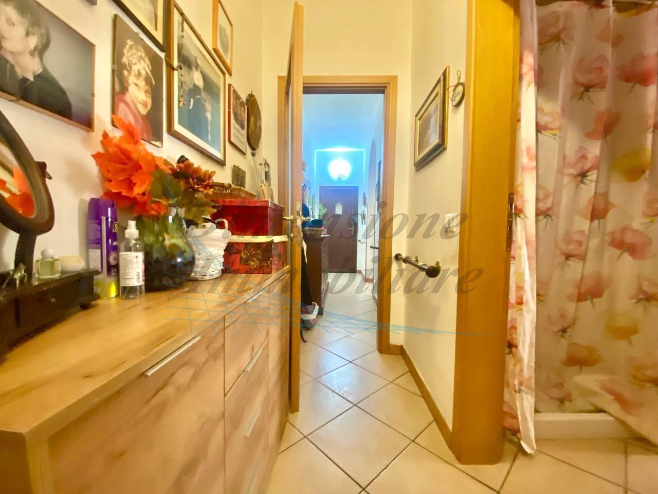 immagine annuncio 4 di 14
