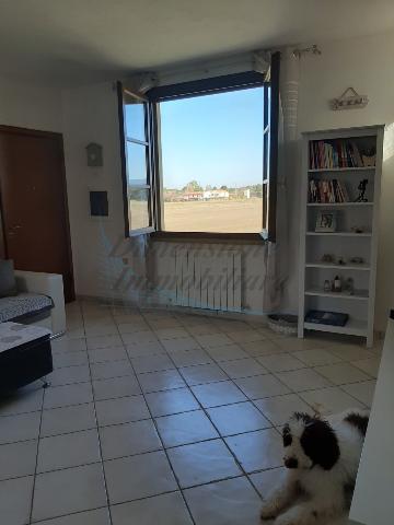 3-room flat in Via Palazzeta  1, Rosignano Marittimo - Photo 1