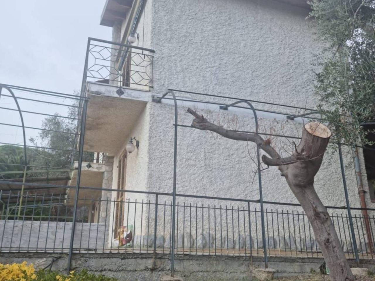 immagine annuncio 1 di 2