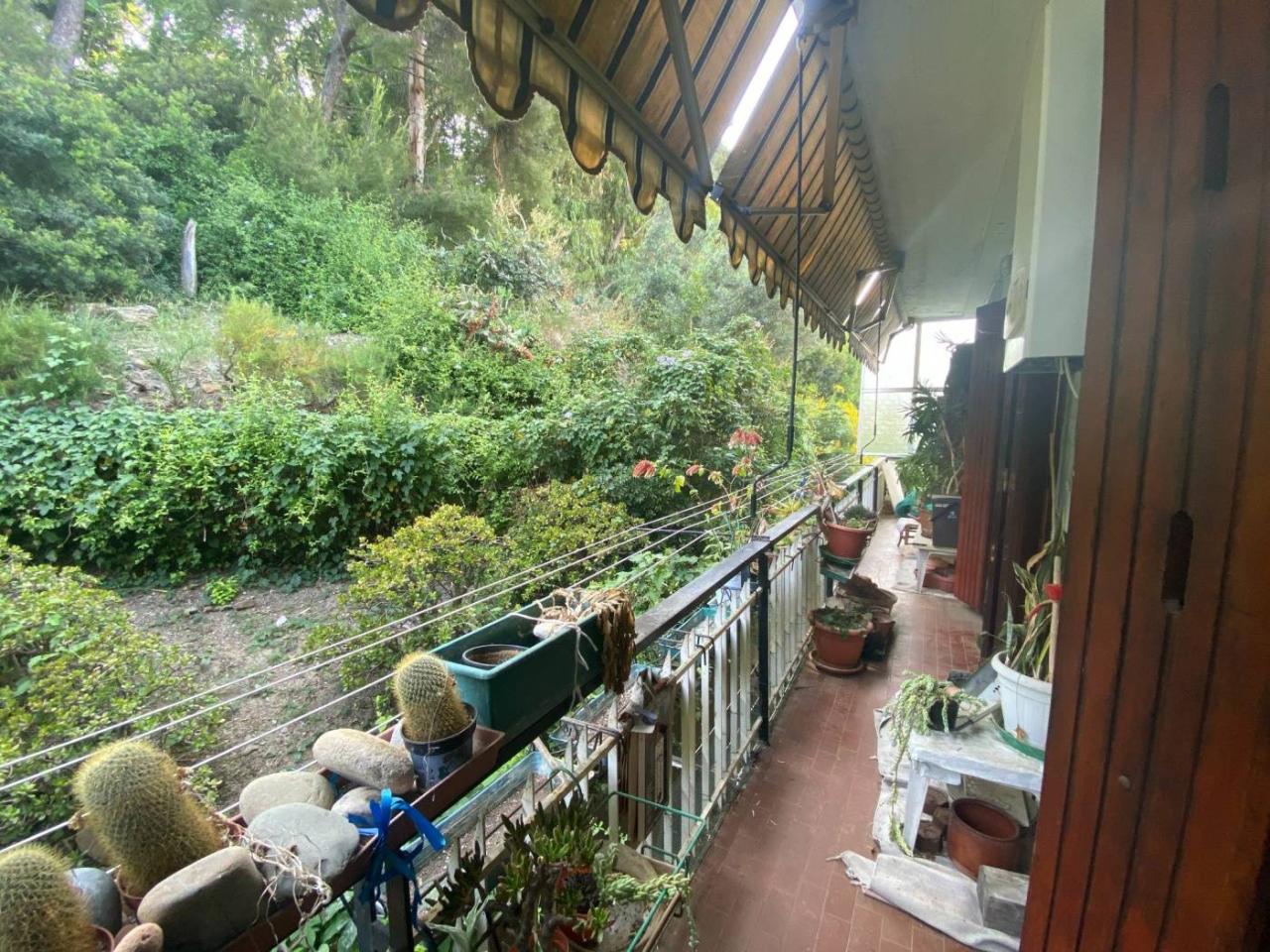 immagine annuncio 4 di 7