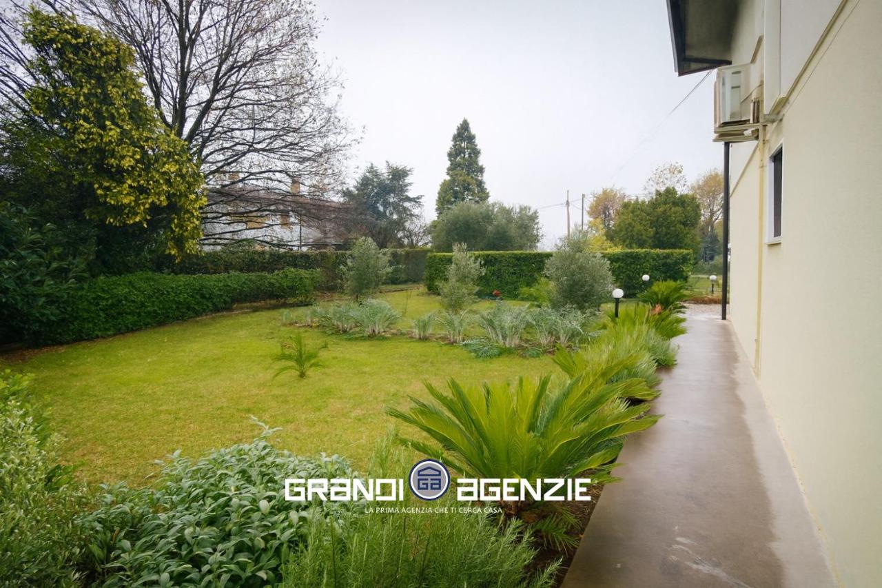 immagine annuncio 7 di 11