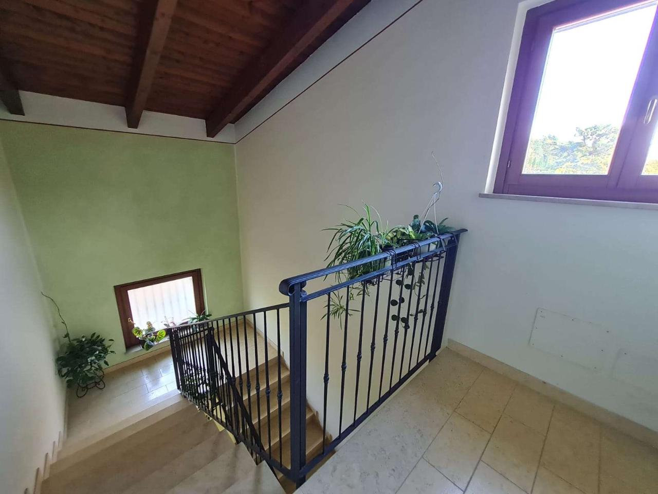 immagine annuncio 11 di 13