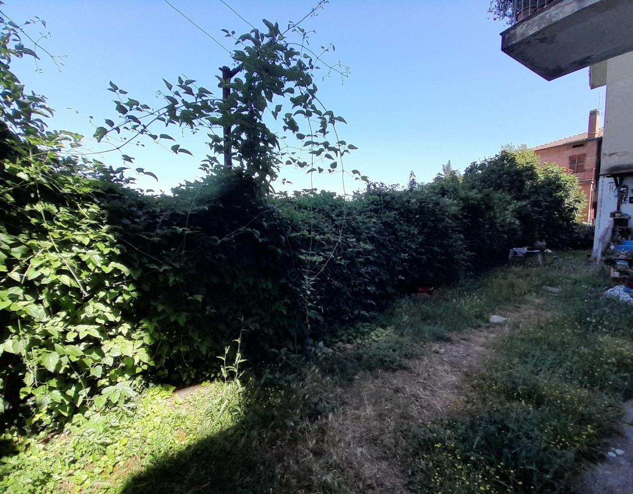 immagine annuncio 11 di 14