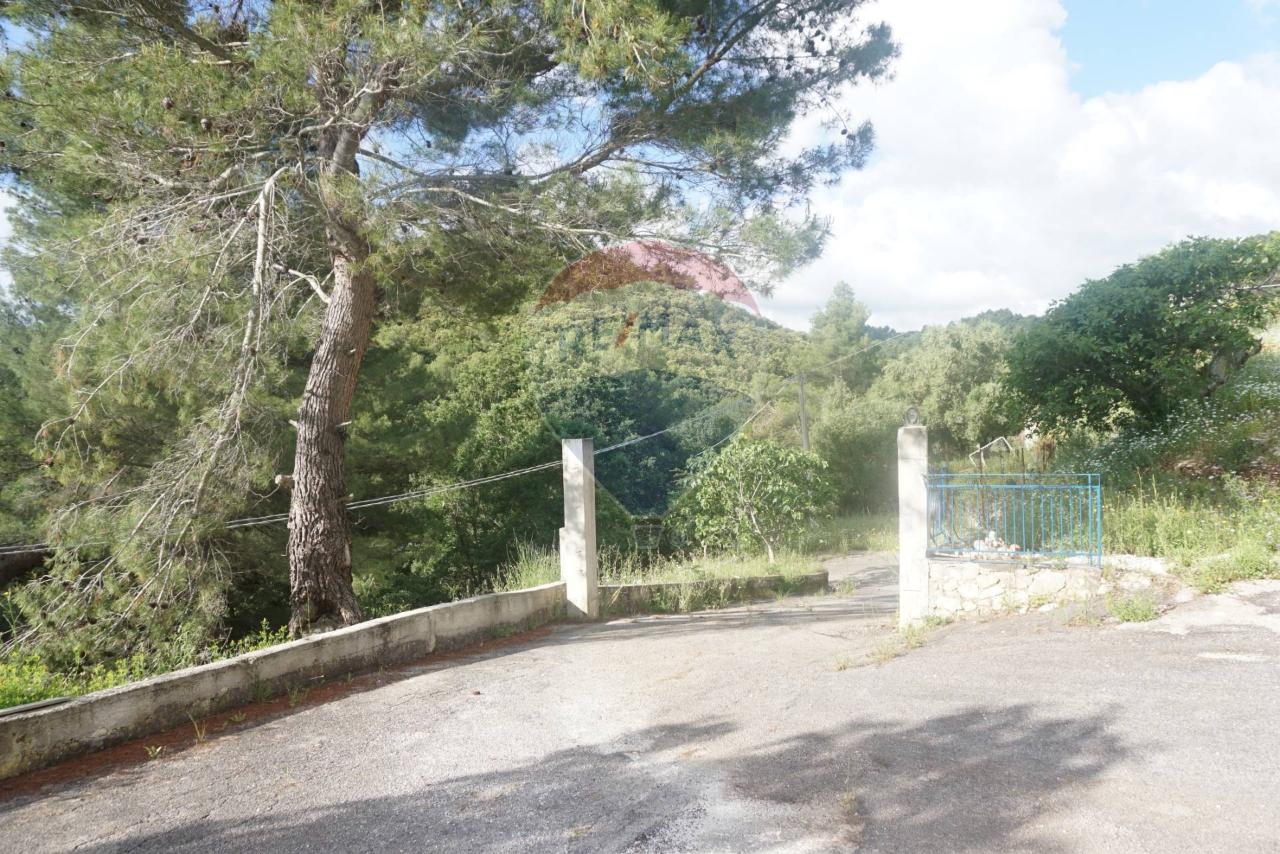 immagine annuncio 11 di 14