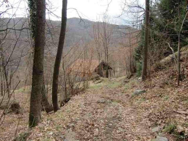 Landhaus in Frazione Arboerio S.N.C, Varallo - Foto 1