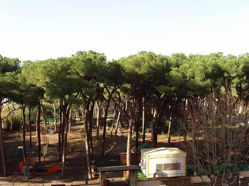 immagine annuncio 10 di 13