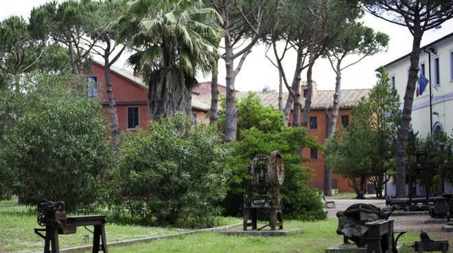 immagine annuncio 9 di 14