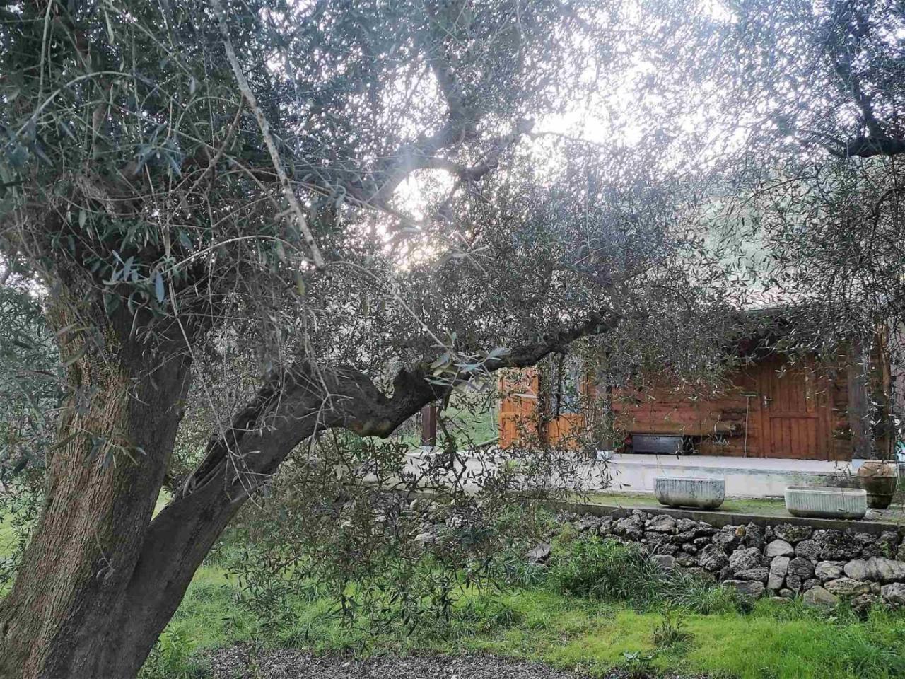 immagine annuncio 10 di 13