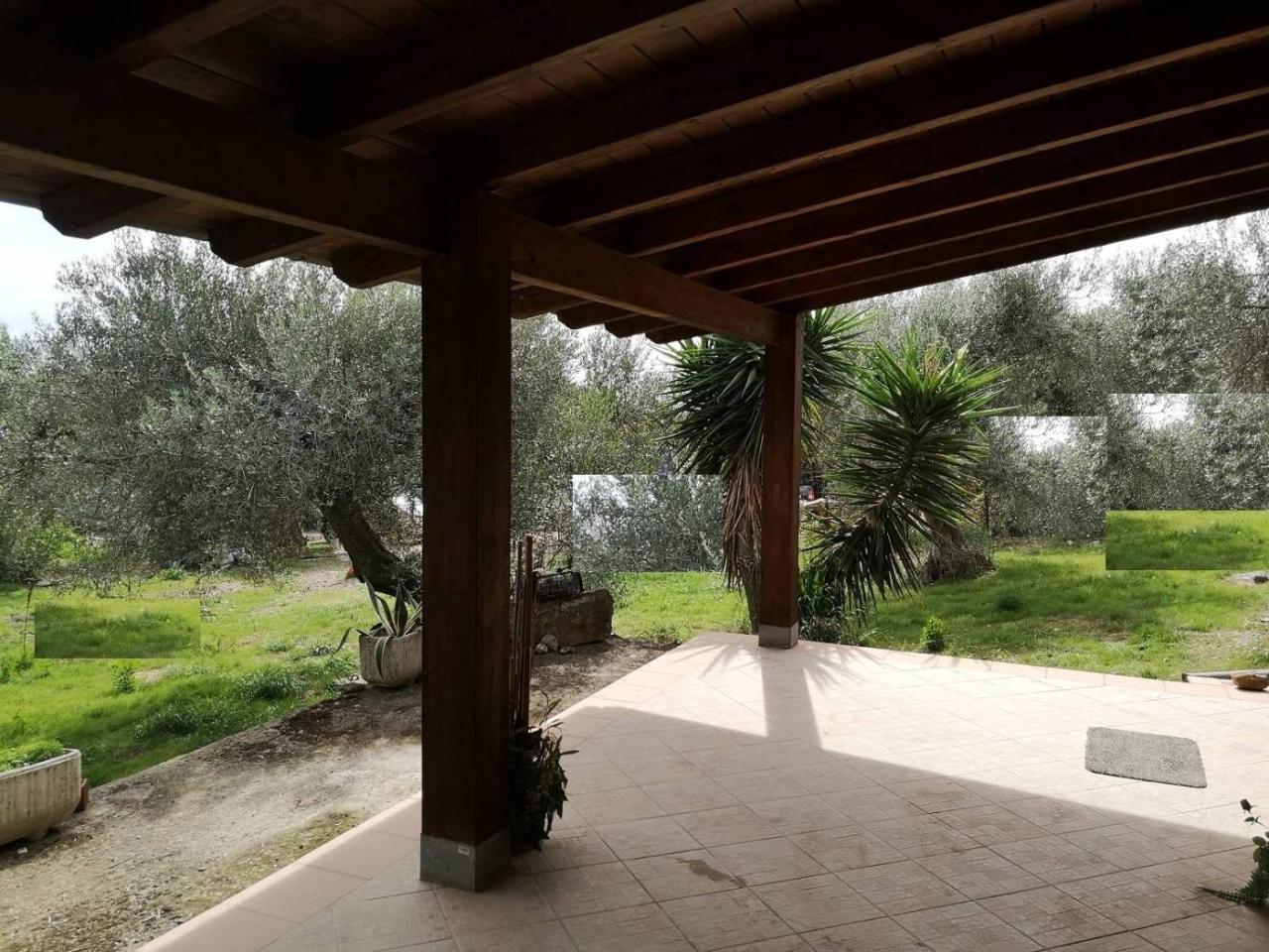 immagine annuncio 11 di 13