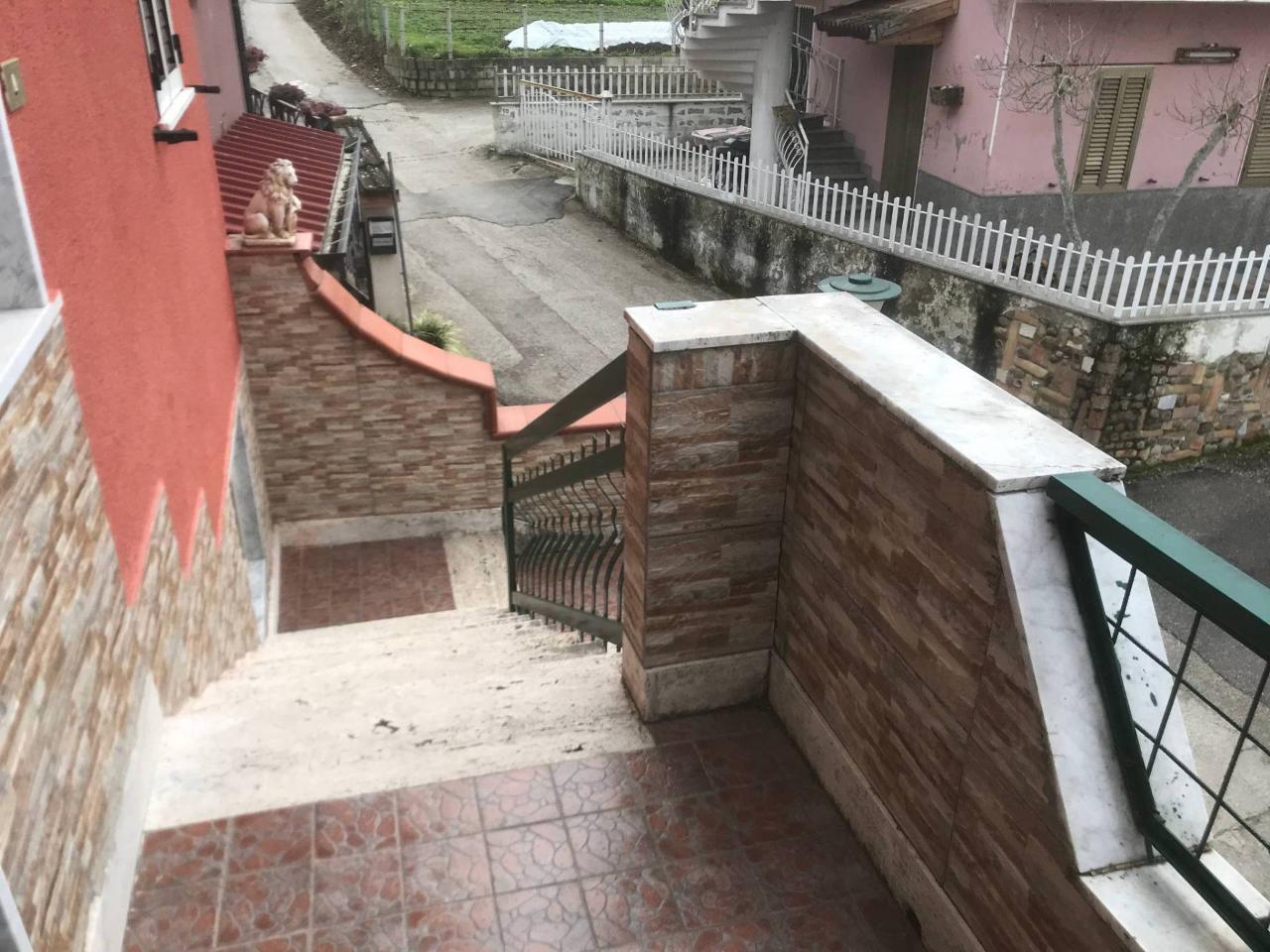 immagine annuncio 9 di 12