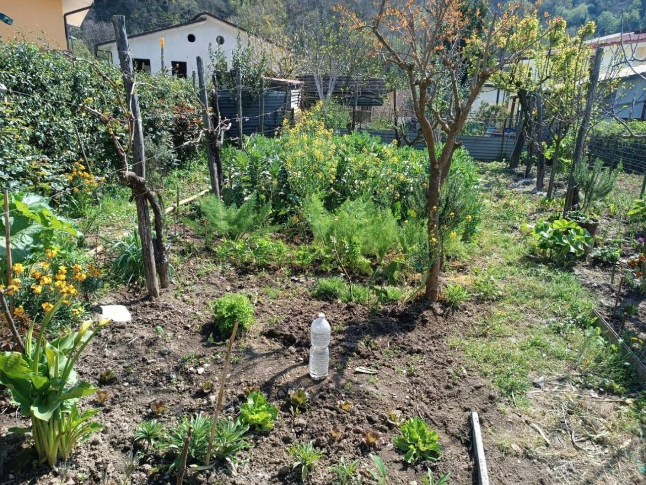 immagine annuncio 9 di 14
