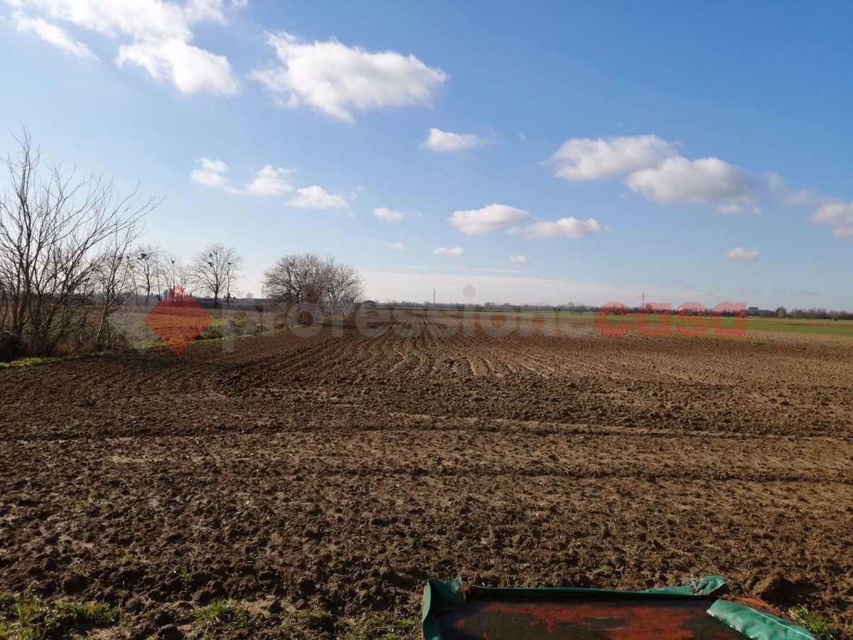 immagine annuncio 3 di 4