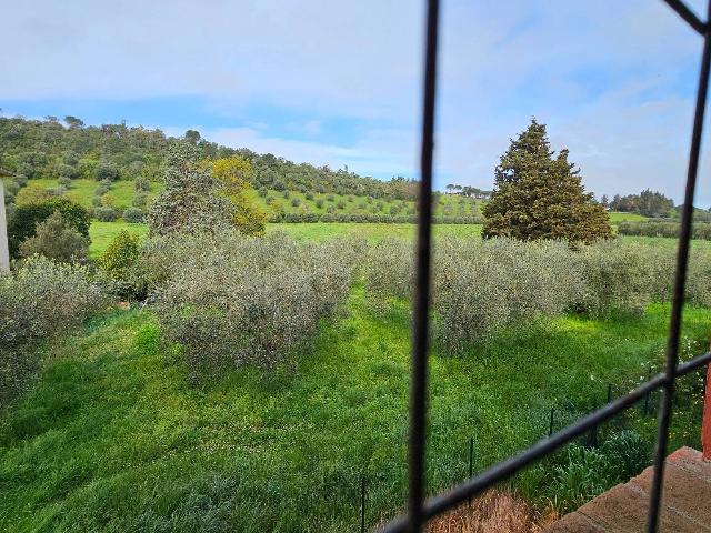 4-room flat in Strada Provinciale Castellaccia, Gavorrano - Photo 1