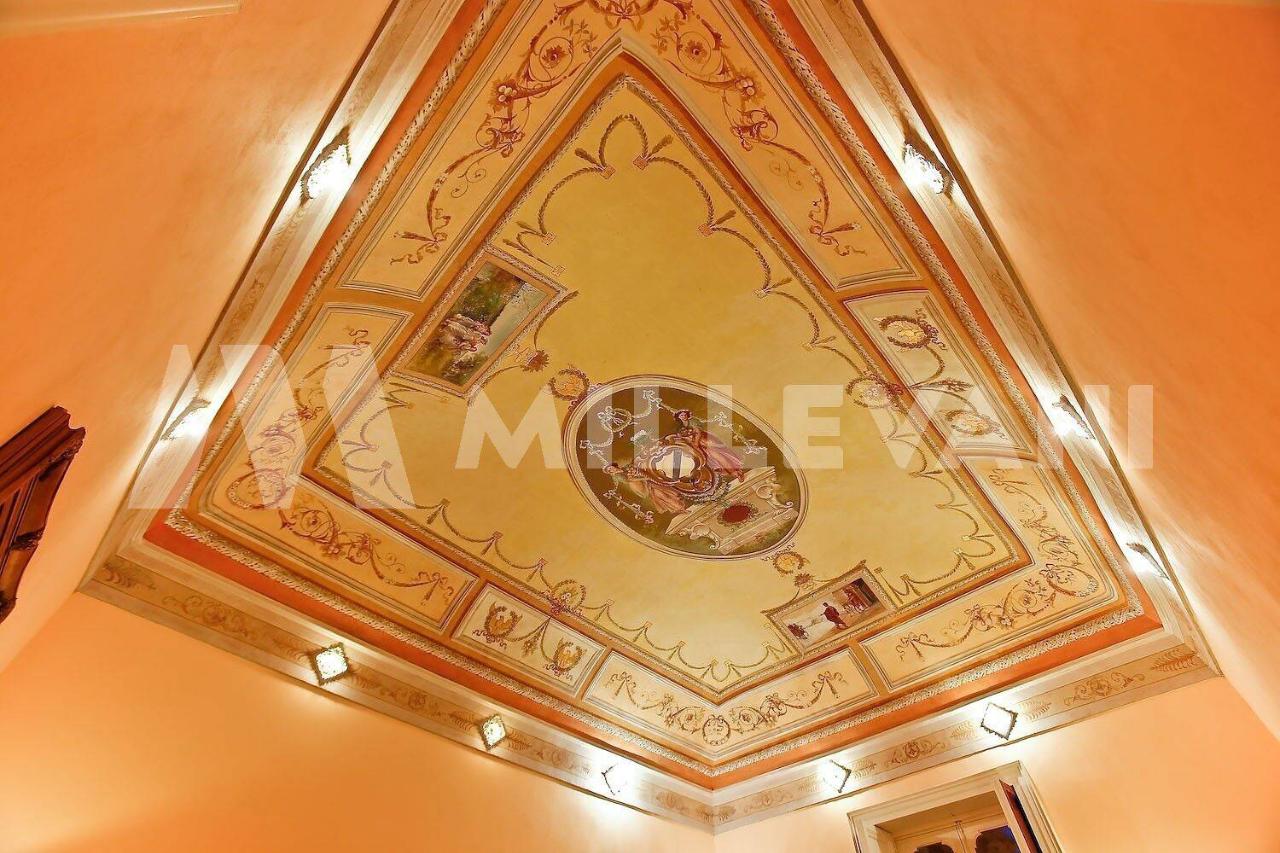 immagine annuncio 7 di 14