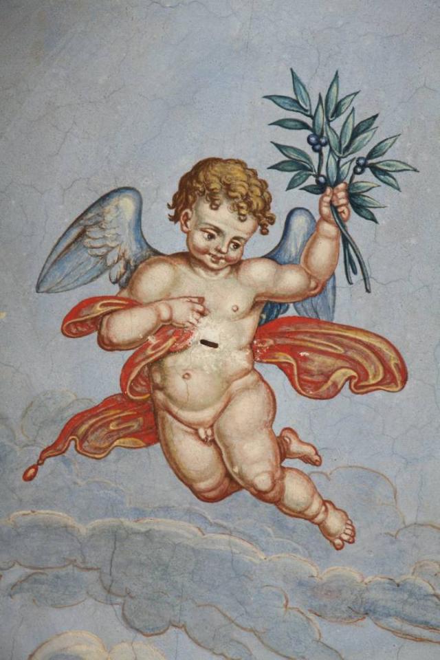 immagine annuncio 12 di 15
