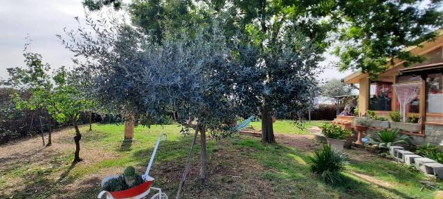 Country house or cottage in {3}, Strada Provinciale Barbaruta - Photo 1