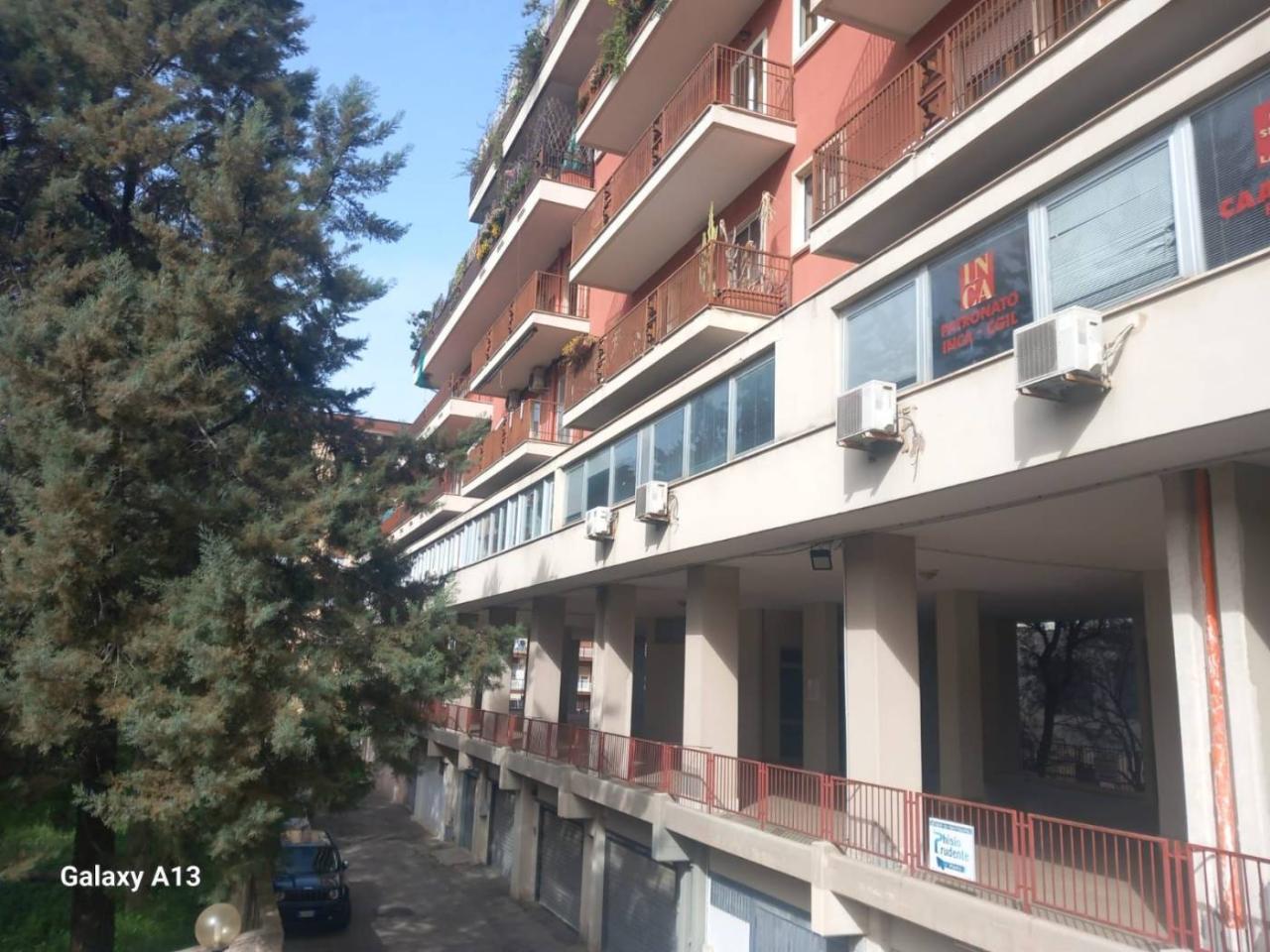 immagine annuncio 12 di 13