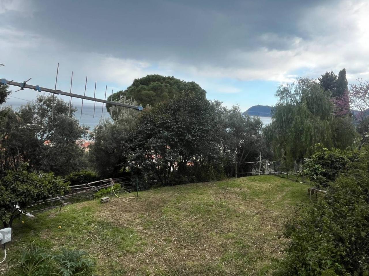 immagine annuncio 6 di 13