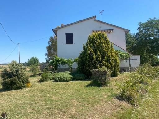 Country house or cottage, Magliano in Toscana - Photo 1