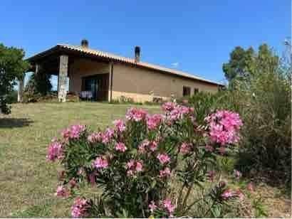 Country house or cottage, Magliano in Toscana - Photo 1