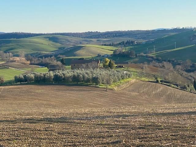 Wohnung, Magliano in Toscana - Foto 1