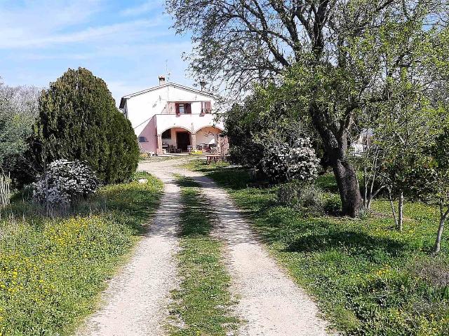 Landhaus, Magliano in Toscana - Foto 1