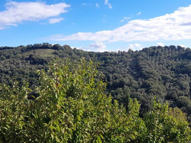 Dreizimmerwohnung, Magliano in Toscana - Foto 1