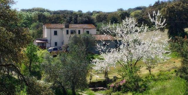 Country house or cottage, Roccastrada - Photo 1