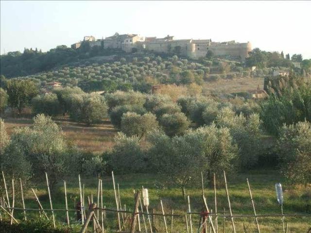 Appartamento, Magliano in Toscana - Foto 1