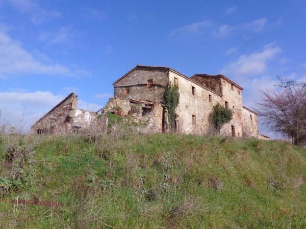 Azienda agricola in Via Volterrana, Volterra, {3} - Foto 1